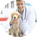 Radiation regulation requirements for veterinary and health care centers